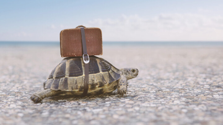 Migration zu einem Cloud Proxy Service