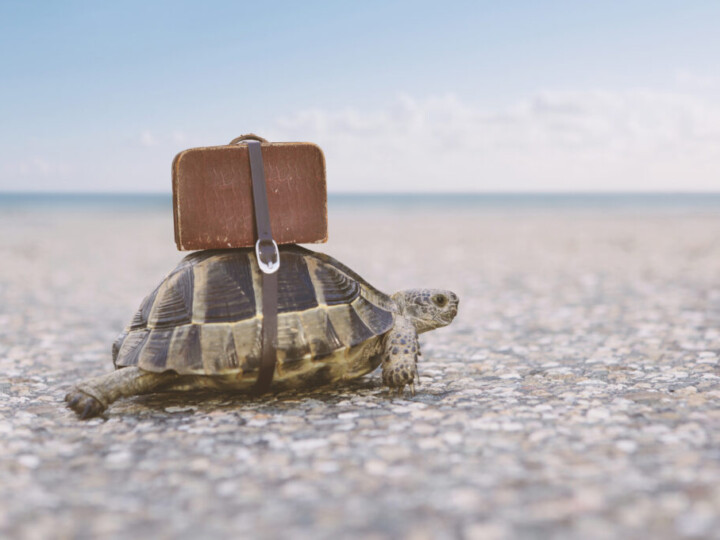 Migration zu einem Cloud Proxy Service