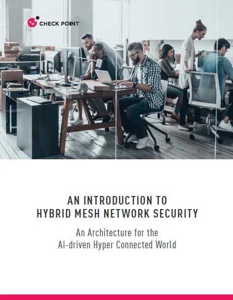 Hybrid Mesh Network