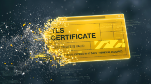 digitales zertifikate das in kleine Stücke zersplittert mit aufschrift TLS certificate und renewal requires
