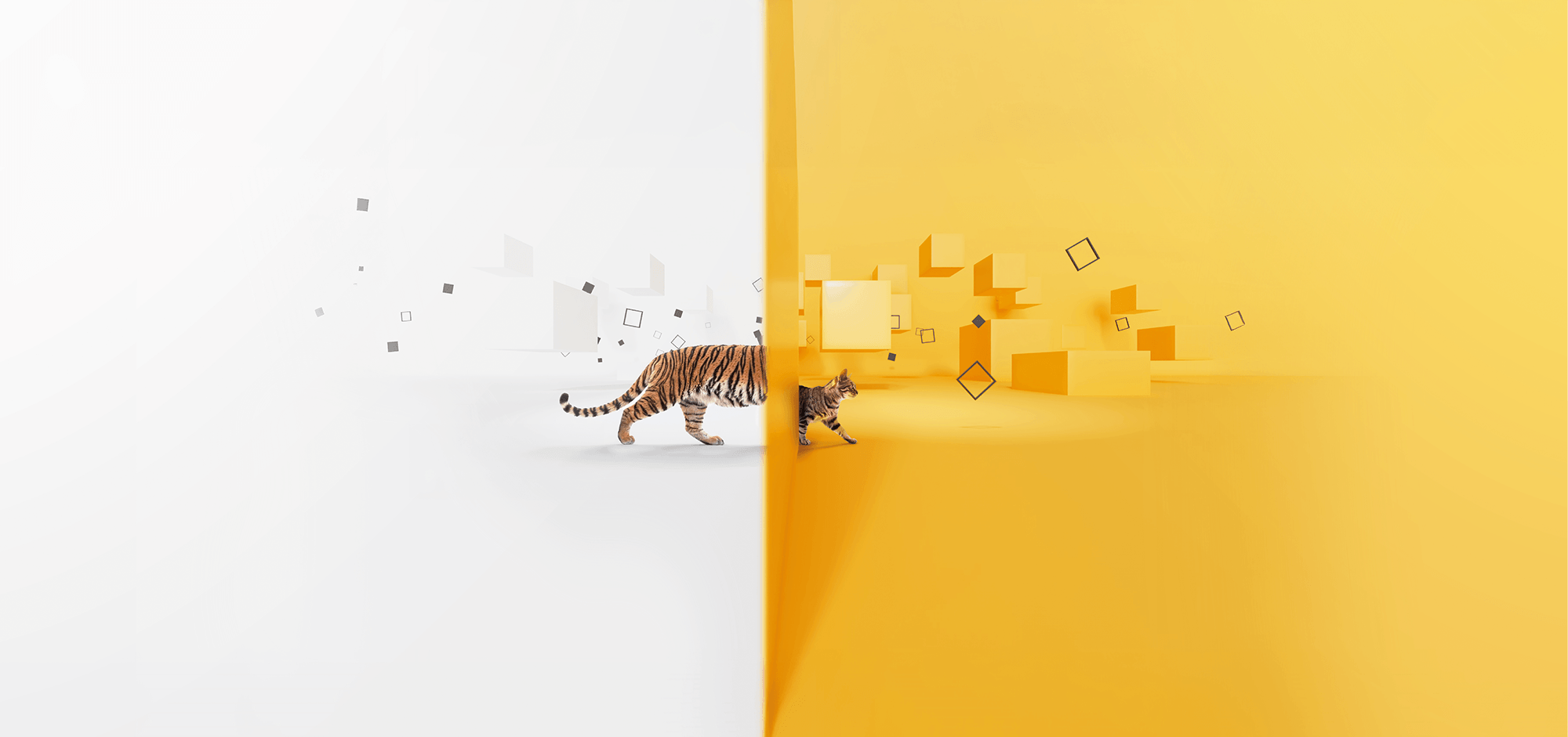 avantec-header-tiger-katze-2000x941